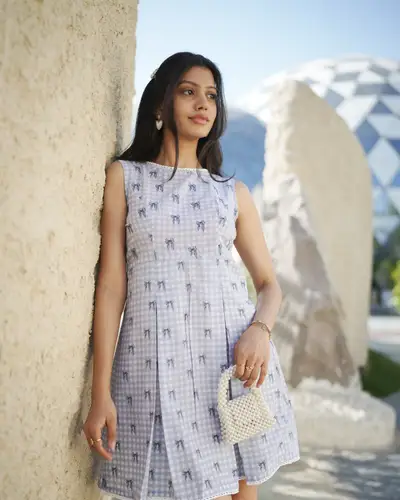 Blue Belle Check Dress